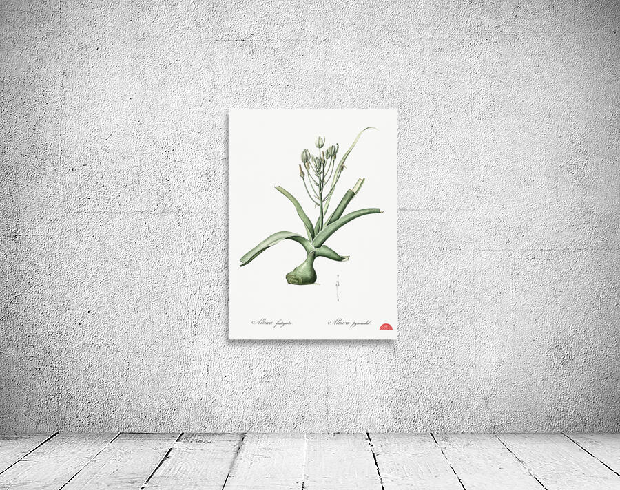 Slime lily illustration  Wall Preview