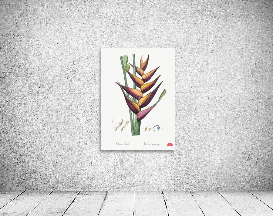 Brandlelie illustration  Wall Preview