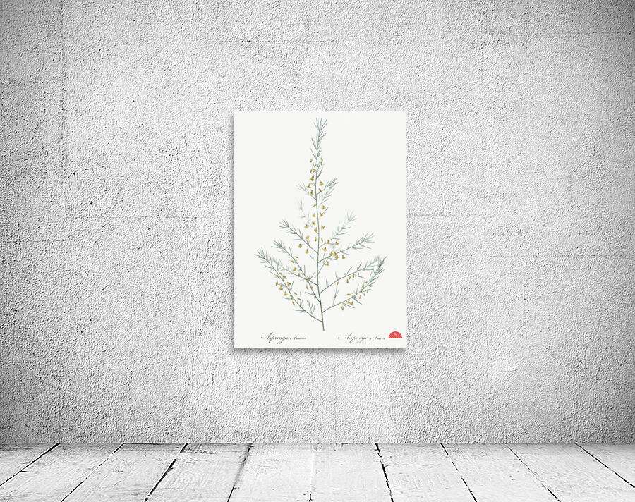 Sea asparagus illustration  Wall Preview