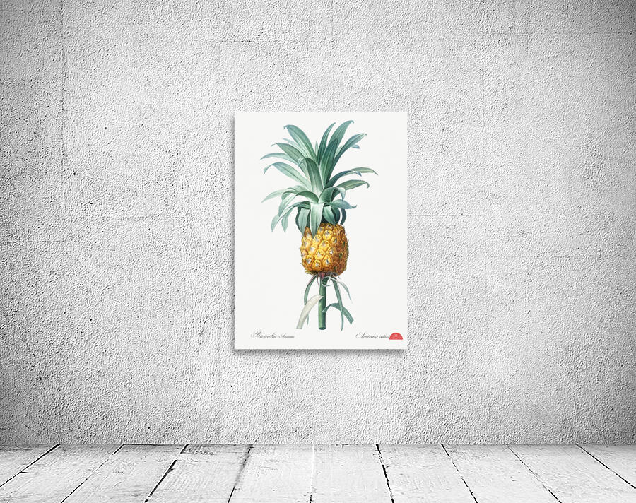 Pineapple illustration Wall Preview