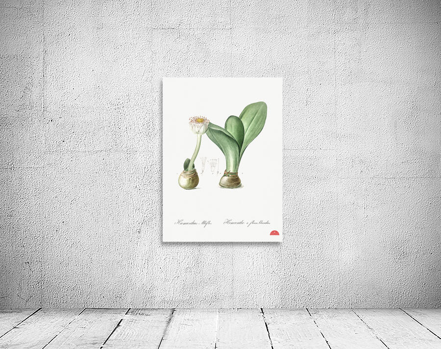 Paintbrush illustration  Wall Preview