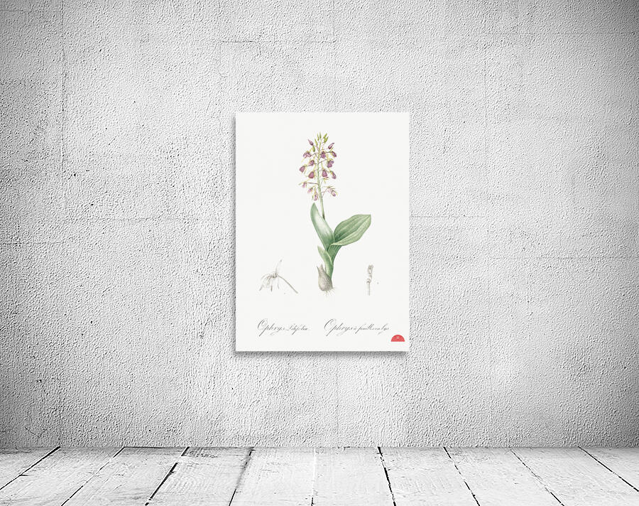 African flag illustration  Wall Preview