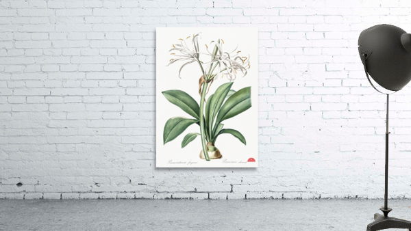 African flag illustration  Wall Preview