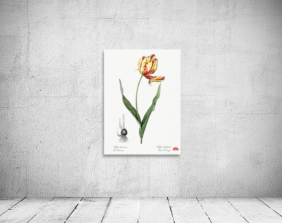 African flag illustration  Wall Preview