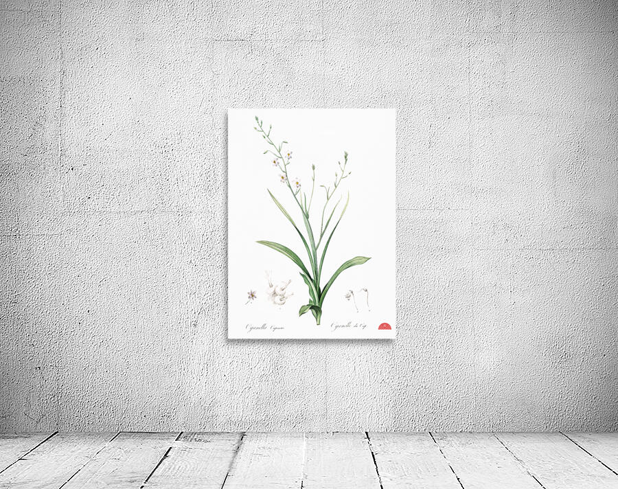 African flag illustration  Wall Preview