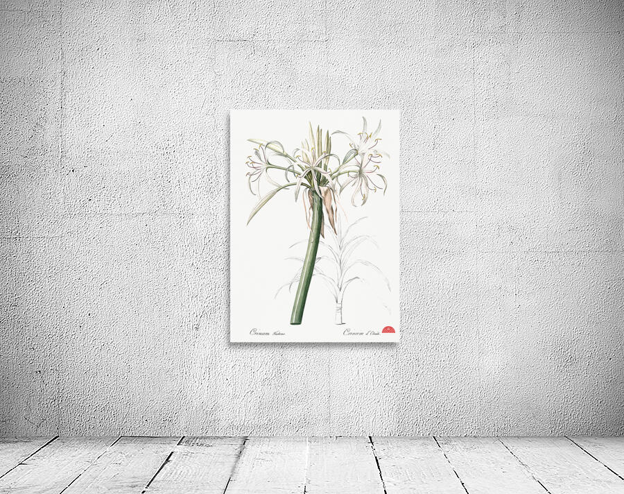 Poison bulb illustration  Wall Preview