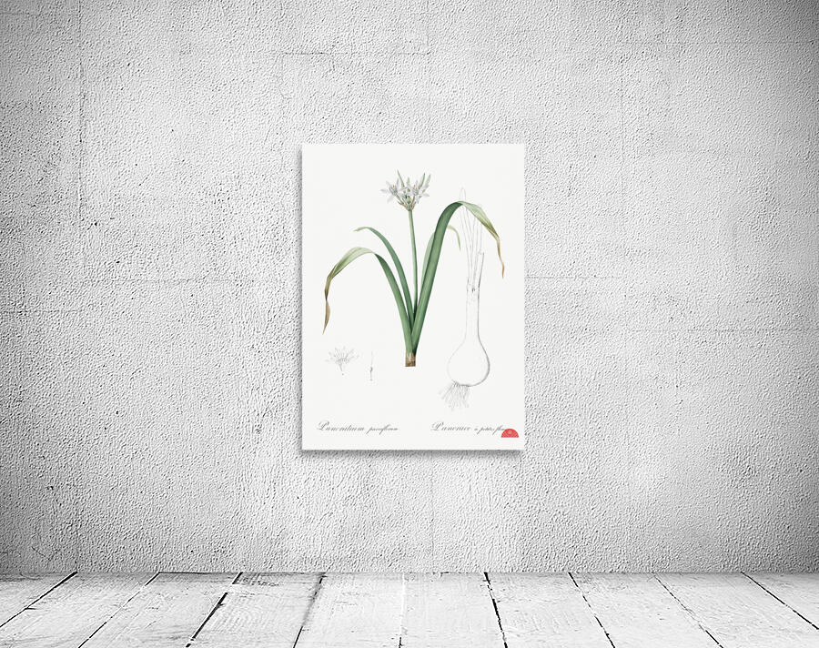 Poison bulb illustration  Wall Preview