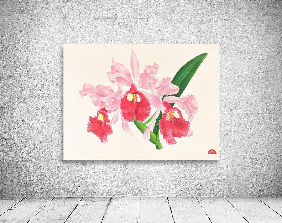 Cattleya gigas Wall Preview