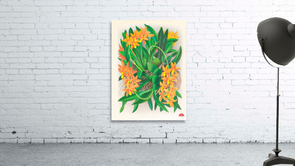 Epidendrum vitellinum Wall Preview