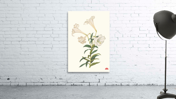 Lilium Longiflorum. 1834 Wall Preview
