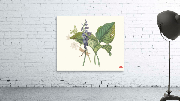 Hemerecalliscarulea Hemerecallis Japonica 1834 Wall Preview