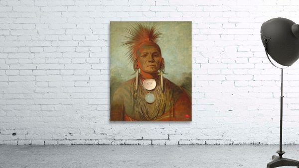 See-non-ty-a an Iowa Medicine Man 1844-1845 Wall Preview