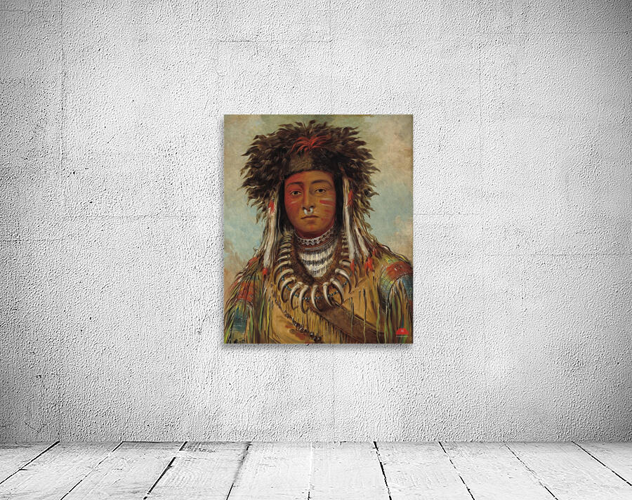 Boy Chief – Ojibbeway 1843 Wall Preview