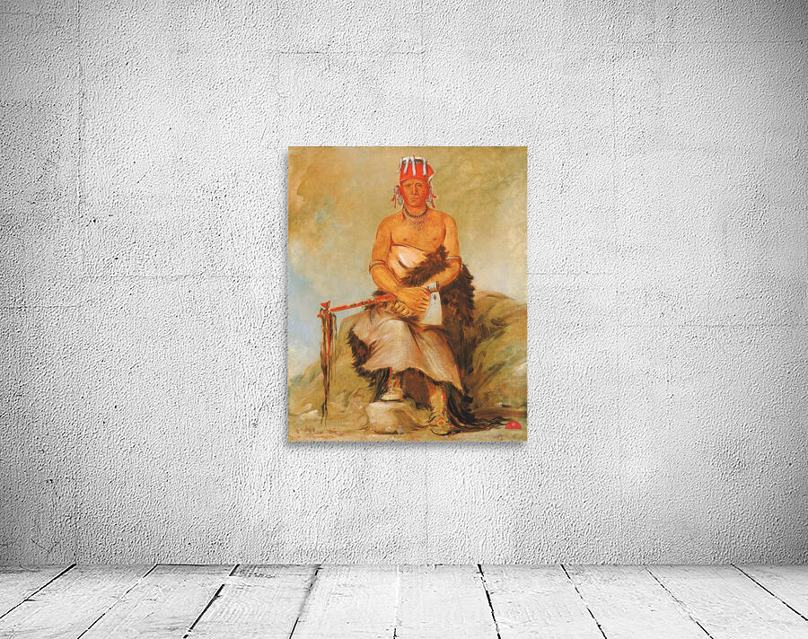 A’h-Sha-La-Cóots-Ah Mole In The Forehead Chief of The Republican Pawnee 1832  Wall Preview