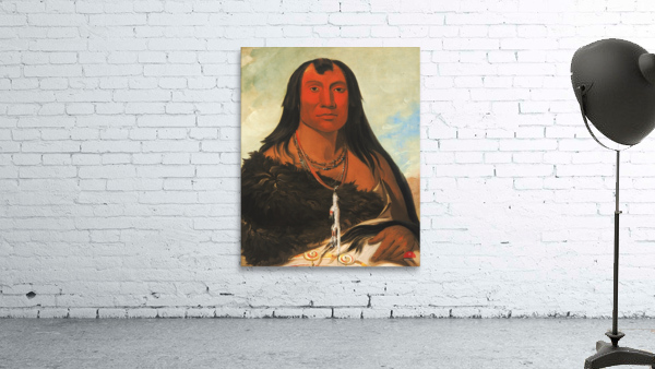 Cháh-Ee-Chópes Four Wolves a Chief In Mourning 1832 Wall Preview