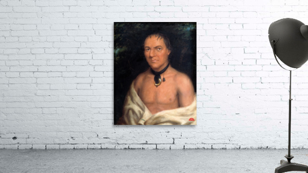 Co-Sne-Boin 1827 Wall Preview