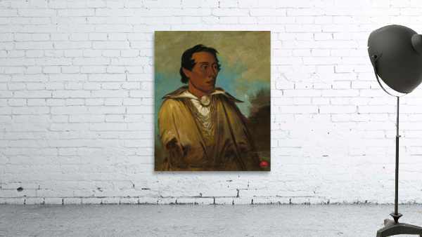 Kee-Án-Ne-Kuk Foremost Man Chief of The Tribe 1830 Wall Preview