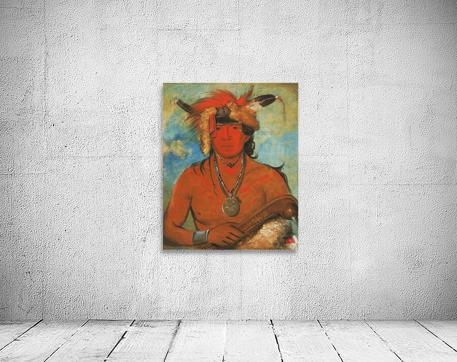 Háh-Je-Day-Ah’-Shee Meeting Birds a Brave 1835-1836 Wall Preview