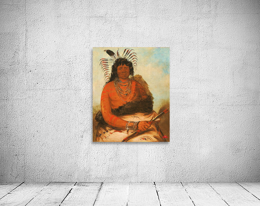 Háh-Nee The Beaver a Warrior 1834 Wall Preview