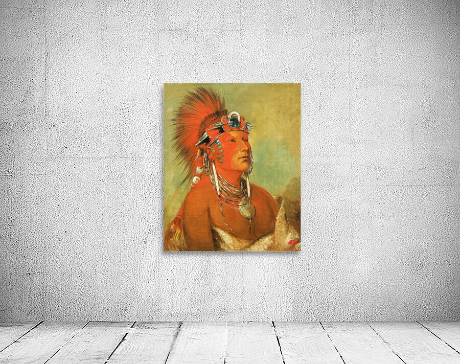 Jee-Hé-O-Hó-Shah Cannot Be Thrown Down a Warrior 1832 Wall Preview