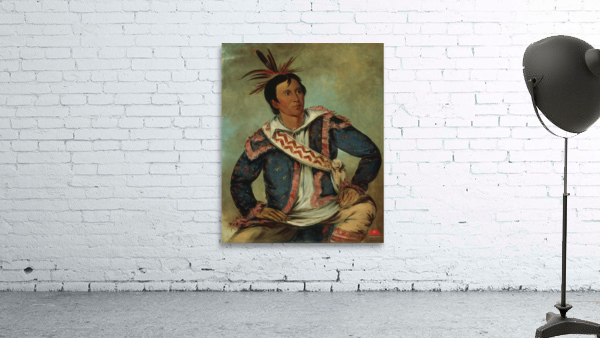 Há-Tchoo-Túc-Knee Snapping Turtle a Half-Breed 1834 Wall Preview