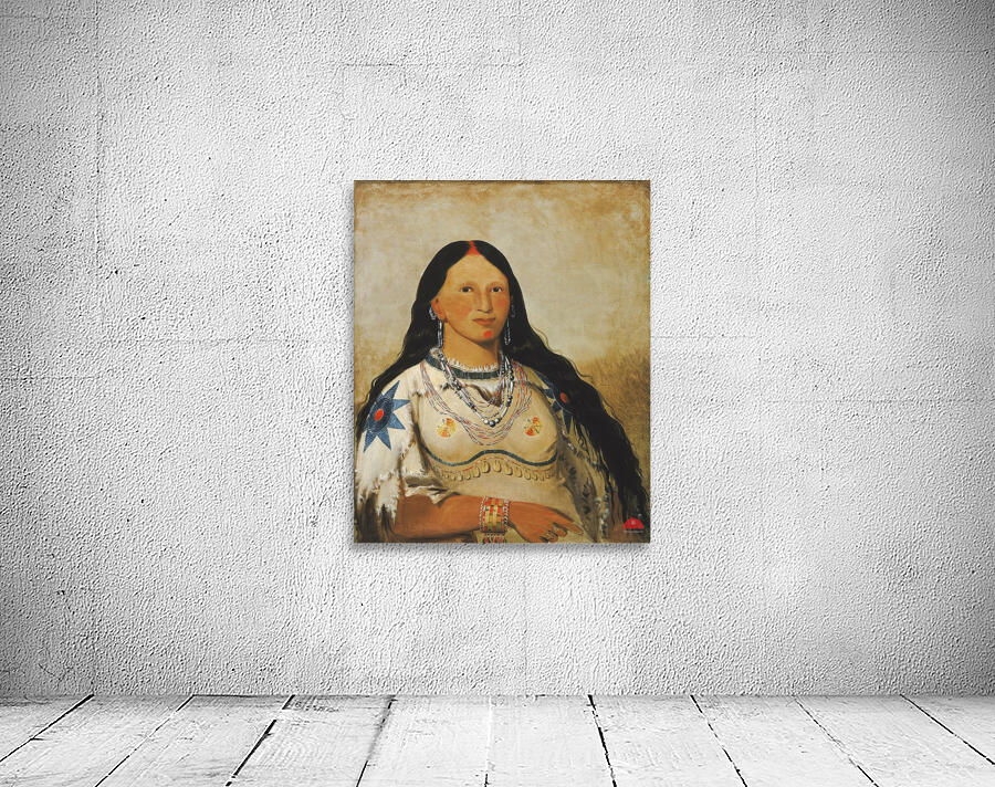 Mi-Néek-Ee-Súnk-Te-Ka Mink a Beautiful Girl 1832 Wall Preview