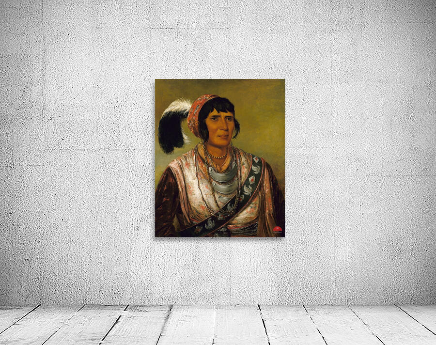 Os-Ce-O-Lá The Black Drink a Warrior of Great Distinction 1838 Wall Preview