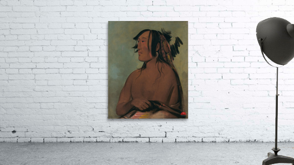 Pa-Ris-Ka-Roó-Pa Two Crows The Younger 1832 Wall Preview