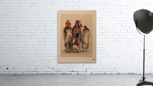 North American Indian Portfolio 1844 Wall Preview