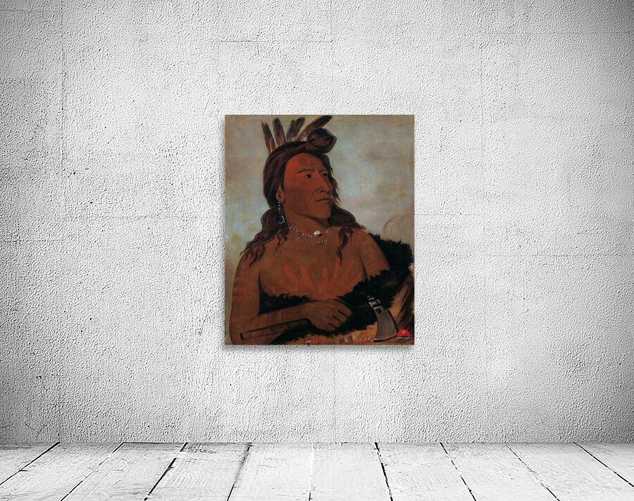Mah-Tó-Che-Ga Little Bear a Hunkpapa Brave 1832 Wall Preview