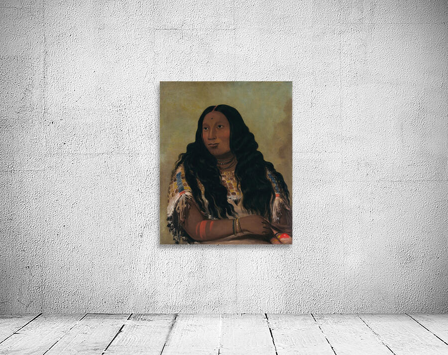 Tchón-Su-Móns-Ka Sand Bar Wife of The Trader François Chardon 1832 Wall Preview