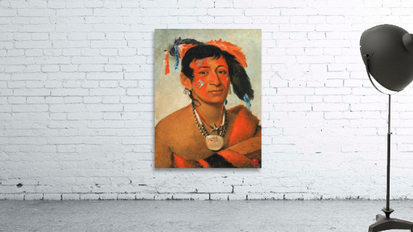 Sha-Wá-No The South a Noted Warrior 1831 Wall Preview