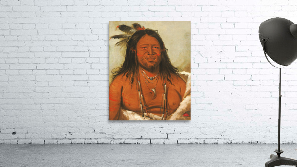 Ta-Wáh-Que-Nah Mountain of Rocks Second Chief of The Tribe 1834 Wall Preview