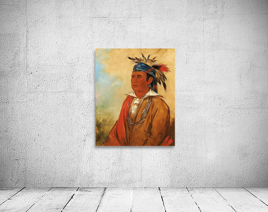 Wah-Pón-Jee-A The Swan a Warrior 1830 Wall Preview