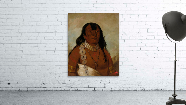 Téh-Tóot-Sah Better Known As Tohausen Little Bluff First Chief 1834 Wall Preview