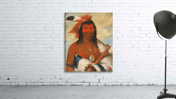 Wá-Nah-De-Túnk-Ah Big Eagle Or Black Dog Chief of The O-Hah-Kas-Ka-Toh-Y-An-Te Band 1835 Wall Preview