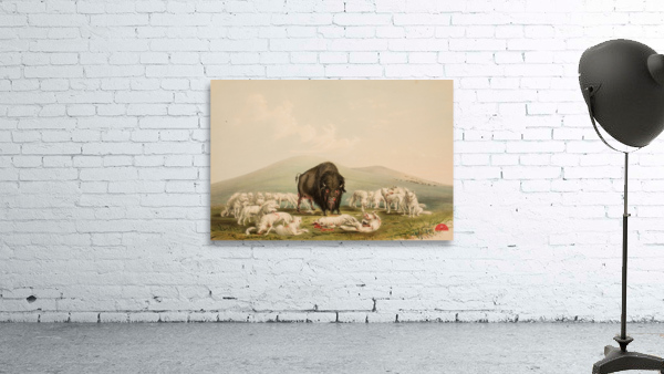 Buffalo Hunt White Wolves Attacking A Buffalo Bull 1844 Wall Preview