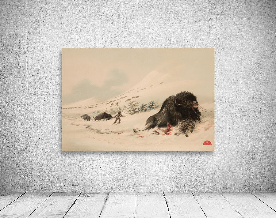 Buffalo Bull in Snow Drift 1844 Wall Preview