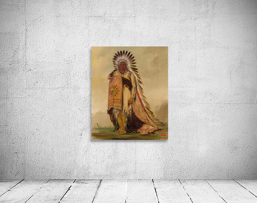 Wán-Ee-Ton Chief of The Tribe 1832 Wall Preview