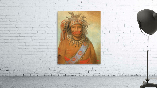 Au-nim-muck-kwa-um Tempest Bird 1845 Wall Preview