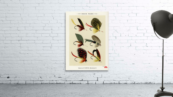 Bass Flies  Wall Preview