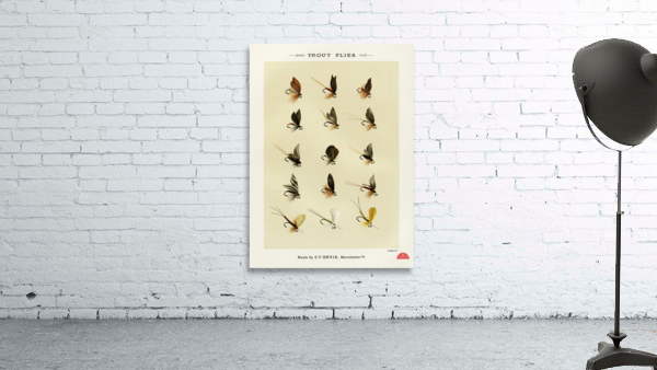 Trout Flies  Wall Preview