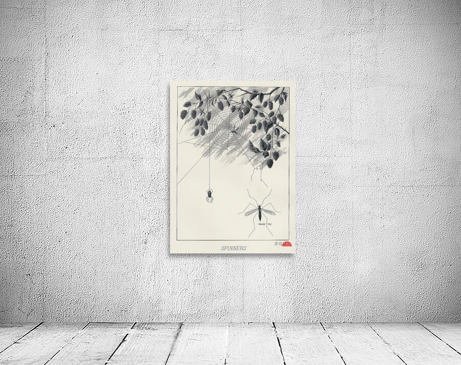 Lake Flies  Wall Preview