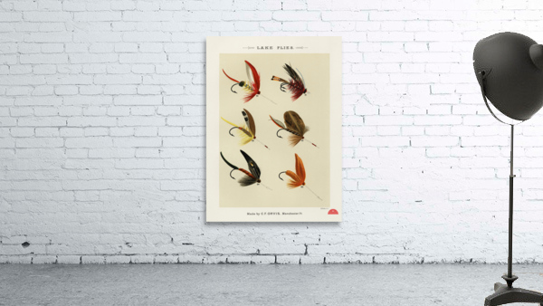 Lake Flies  Wall Preview