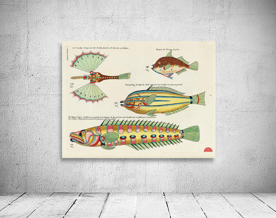 Colourful and surreal illustrations of fishes found in Moluccas Indonesia and the East Indies by Louis Renard 1678 -1746 from Histoire naturelle des plus rares curiositez de la mer des Indes 1754. Wall Preview