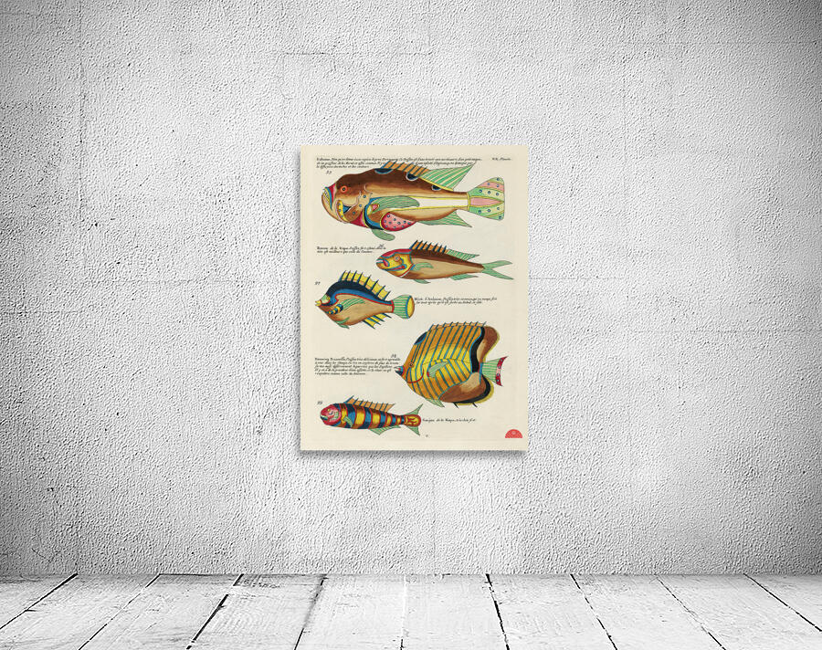 Colourful and surreal illustrations of fishes found in Moluccas Indonesia and the East Indies by Louis Renard 1678 -1746 from Histoire naturelle des plus rares curiositez de la mer des Indes 1754. Wall Preview