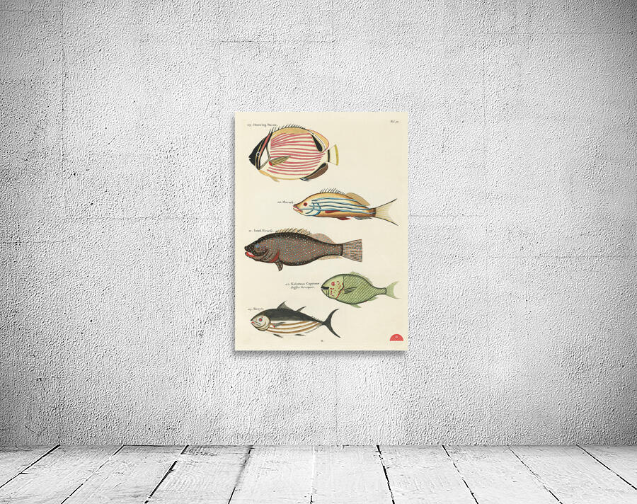 Colourful and surreal illustrations of fishes found in Moluccas Indonesia and the East Indies by Louis Renard 1678 -1746 from Histoire naturelle des plus rares curiositez de la mer des Indes 1754. Wall Preview