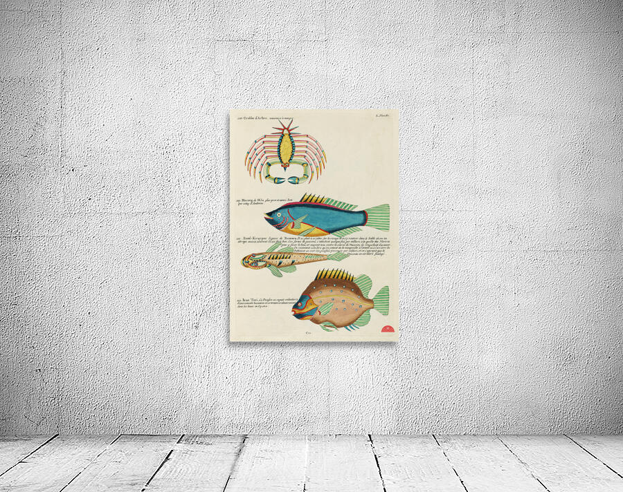Colourful and surreal illustrations of fishes and crab found in Moluccas Indonesia and the East Indies by Louis Renard 1678 -1746 from Histoire naturelle des plus rares curiositez de la mer des Indes 1754. Wall Preview