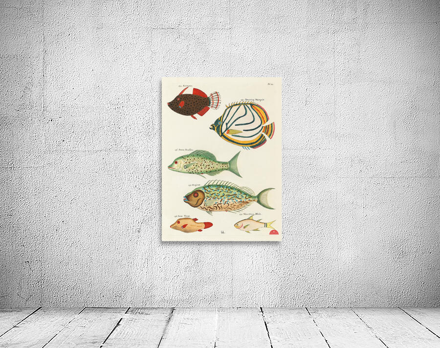 Colourful and surreal illustrations of fishes found in Moluccas Indonesia and the East Indies by Louis Renard 1678 -1746 from Histoire naturelle des plus rares curiositez de la mer des Indes 1754. Wall Preview