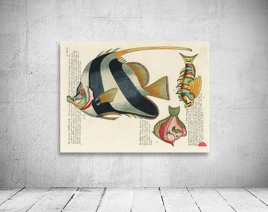 Colourful and surreal illustrations of fishes found in Moluccas Indonesia and the East Indies by Louis Renard 1678 -1746 from Histoire naturelle des plus rares curiositez de la mer des Indes 1754. Wall Preview